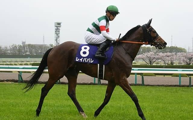 【オールカマー注目馬】再び連勝街道を突き進むべく古馬GI戦線の主役が登場！