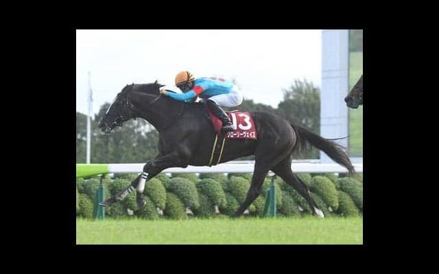 オールカマーは血統とコース適正で２頭を厳選。圧倒的人気が予想されるレイパパレには不安も