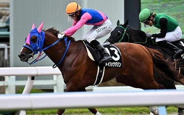 【船橋・日本テレビ盃】メイショウダジンの鞍上は幸英明騎手　JRA所属の選定馬が更新