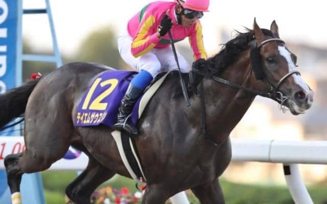 【オーバルスプリント回顧】2番手から早め先頭テイエムサウスダンが圧倒/斎藤修