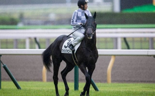 武豊騎手 今週の騎乗馬