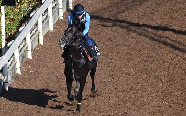 【神戸新聞杯注目馬】ソダシで注目のタッグが牡馬クラシックで逆襲なるか