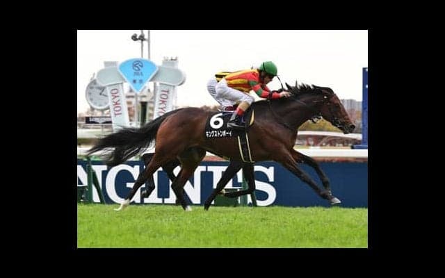 神戸新聞杯、世代の頂点に立ったシャフリヤールを脅かす「新星」の登場はあるか