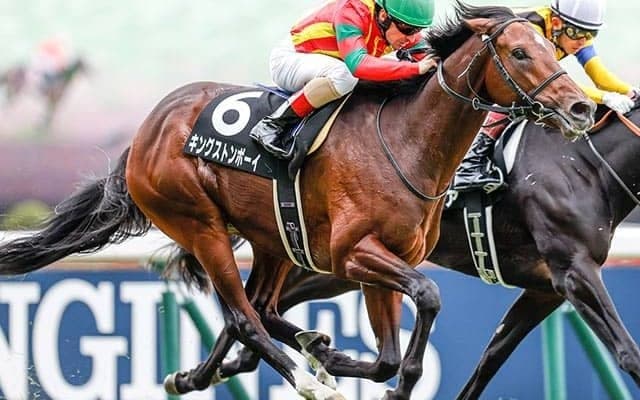 【神戸新聞杯注目馬】キングストンボーイ始動戦　名伯楽と最後の秋へ