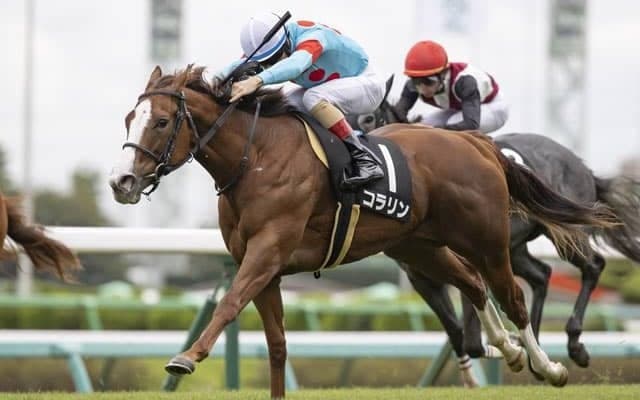 【カンナS結果】出遅れも何のその、コラリンが差し切り連勝