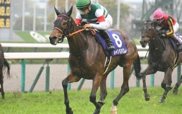 【オールカマー前日オッズ】レイパパレが2.4倍で1番人気