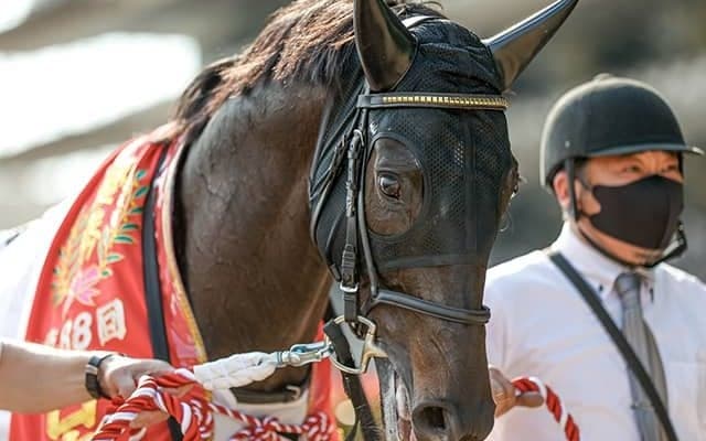 【神戸新聞杯】ダービー馬シャフリヤールが大外枠に、中京芝2200mの大外成績は…