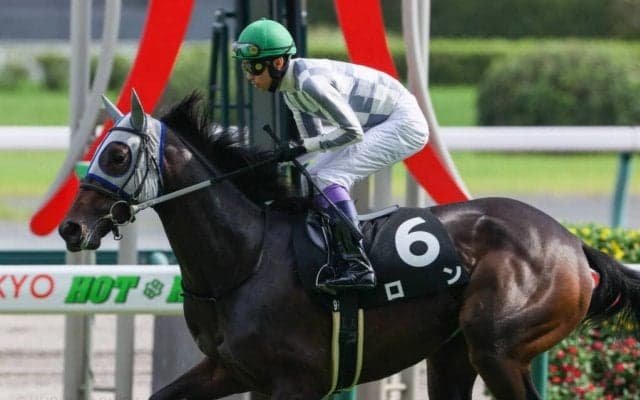 【野路菊S】シルバーステート産駒 ロンがデビュー2連勝