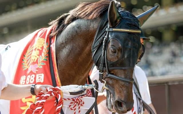 【本日の注目ポイント】神戸新聞杯でシャフリヤールが復帰、中山ではオールカマー