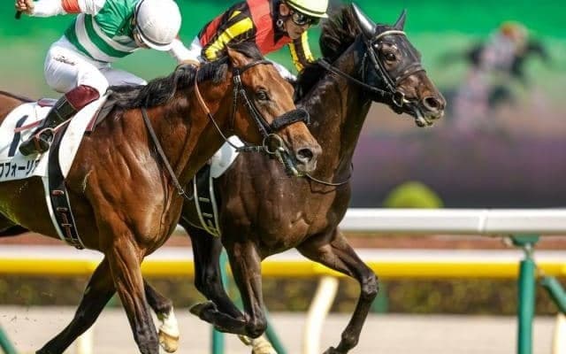 【神戸新聞杯予想】近年ほぼ人気が結果に繋がっている菊花賞へのトライアルレース