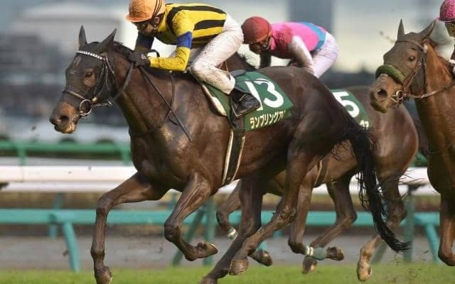 【オールカマー予想】言うまでもなく「格」が重要視される別定重量のGII戦