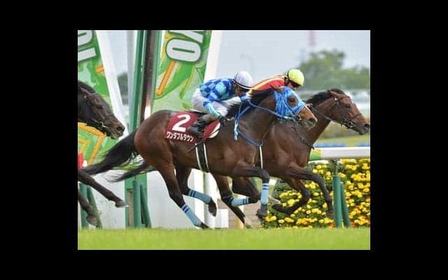 神戸新聞杯でダービー馬は負けない。人気薄実績馬のヒモ穴狙いが吉と出る