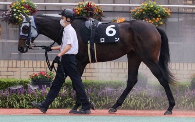 石橋守調教師 JRA通算100勝達成！
