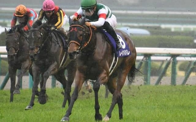 【オールカマー予想】上位人気が安定成績で荒れない傾向に？ 圧倒的人気レイパパレの取捨は？