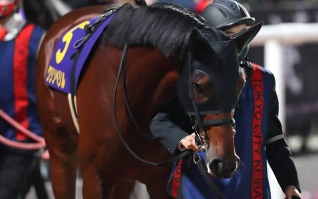 【船橋・日本テレビ盃枠順確定】クリソベリルは2枠2番、ノンコノユメは7枠8番