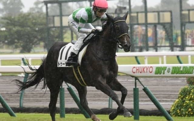 【中京5R新馬戦結果】キタサンブラック産駒牝馬トゥーサンが押し切りV