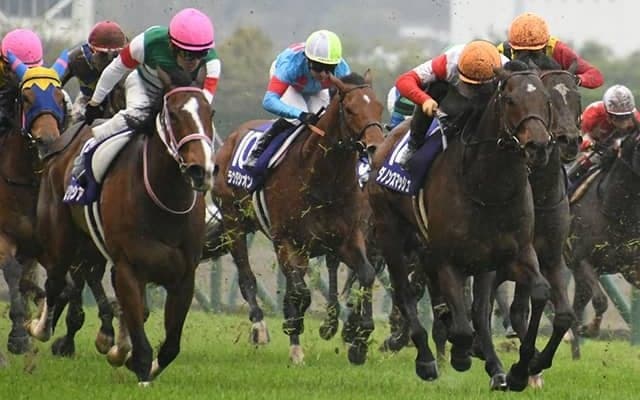 国内外のビッグレースに注目！ スプリンターズSと凱旋門賞/今週の競馬界の見どころ