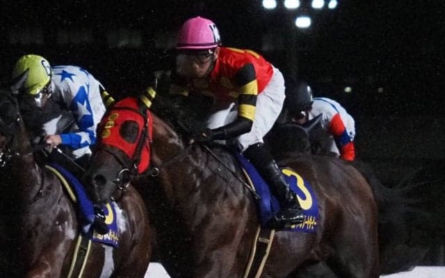 【シリウスS登録馬】ゴッドセレクションなど22頭