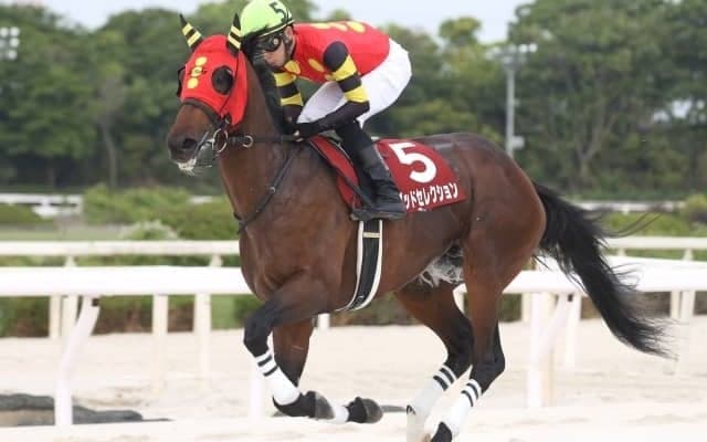 【シリウスS見どころ】3歳馬ゴッドセレクションが重賞初制覇を目指す