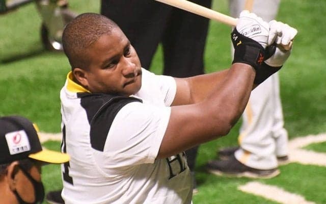 あわや大事故…　驚速バットがスタンド襲いファン驚愕「ケガ人いなくて良かったネ」