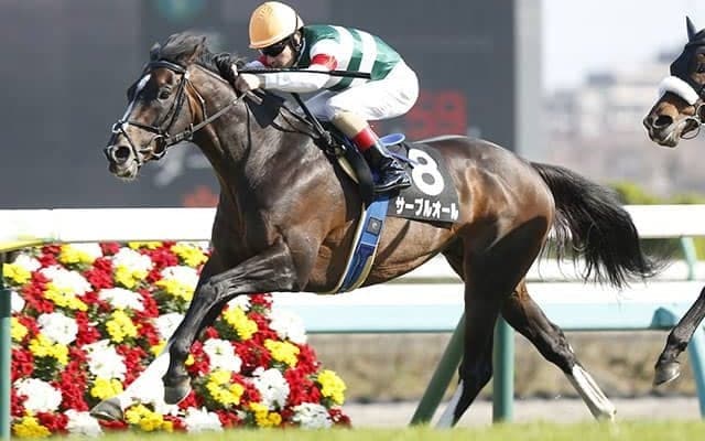 【先週のJRA抹消馬】障害重賞で活躍したサーブルオール、オホーツクSを制したワセダインブルーなど