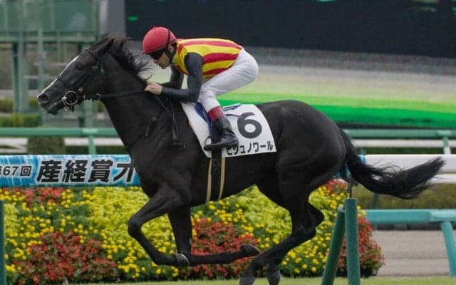 【新馬/中山5R】キタサンブラック産駒 ビジュノワールがデビューV