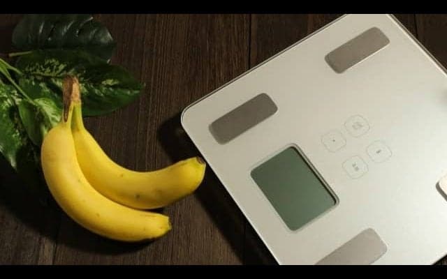 アスリートにおすすめの捕食とは