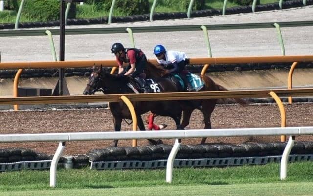 母系にワーケアがいるプレミアスコアがデビュー/関西馬メイクデビュー情報