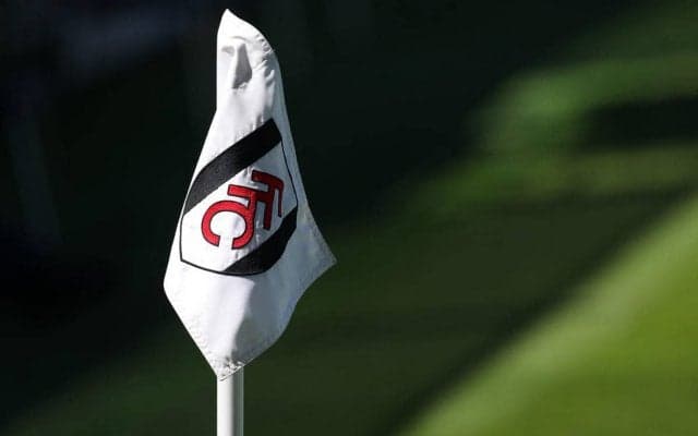 再生回数は556万回以上!スタンド観戦の脳性麻痺の少年と喜びを分かち合うフルアム選手「これがサッカーのすべて」