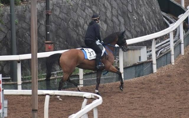 サウンドキアラなど、先週の入厩情報/栗東トレセンニュース