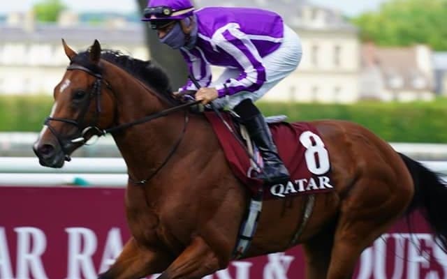 【海外競馬】欧州G1・5連勝のセントマークスバシリカが引退、種牡馬入りへ