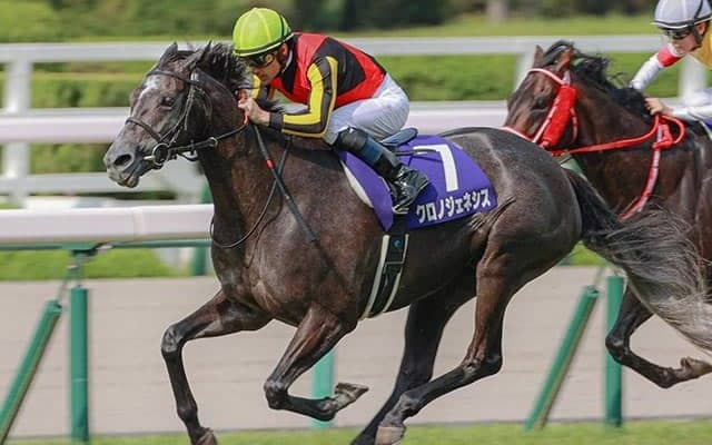 【凱旋門賞】クロノジェネシス、ハリケーンレーン、タルナワなど　第2回登録取消は変動なし