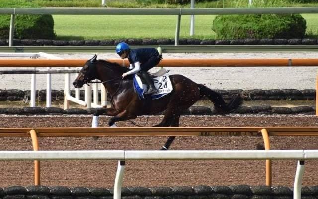 ヴァンドギャルド、毎日王冠1週前追い切り速報/栗東トレセンニュース