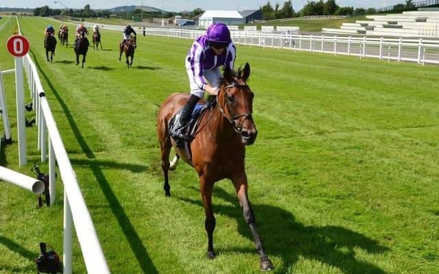 【凱旋門賞】出馬登録は16頭　アダイヤーとスノーフォールが追加登録