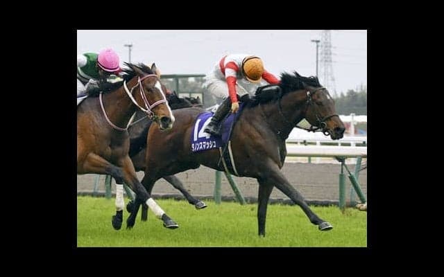 秋のＧⅠ初戦・スプリンターズＳは、「父仔」「母仔」制覇がかかる２頭に注目