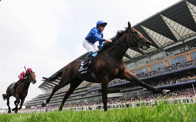 凱旋門賞はアダイヤーの取捨が最大のポイントに/合田直弘