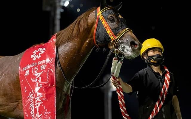 【門別競馬情報】JBC2歳優駿JpnIIIの前哨戦！中距離で台頭してきたシャルフジン＆リコーヴィクター。栄冠賞H2勝ちモーニングショーは控える競馬で巻き返しなるか「第21回サンライズカップH1」/地方競馬情報