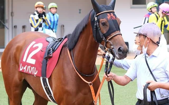 【次走】オールカマー4着のレイパパレはエリザベス女王杯へ