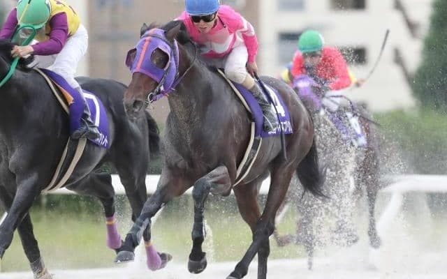 【名古屋・ベイスプリント結果】ナムラマホーホがカツゲキキトキトとの一騎打ちを制す