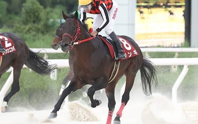 【園田・姫山菊花賞結果】ジンギが断然人気に応えて重賞7勝目