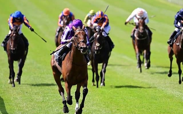 【凱旋門賞 枠順確定】日本から参戦するクロノジェネシスは14番ゲート、ディープボンドは5番ゲート、武豊騎手騎乗のブルームは7番ゲート