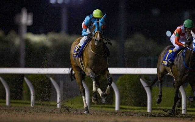 【レディスプレリュード】JRA出走予定馬