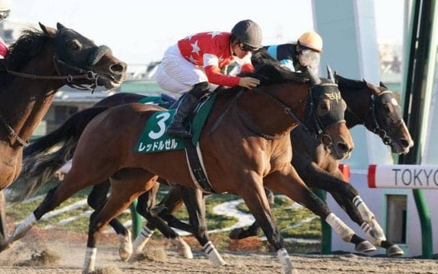 【東京盃】JRA出走予定馬