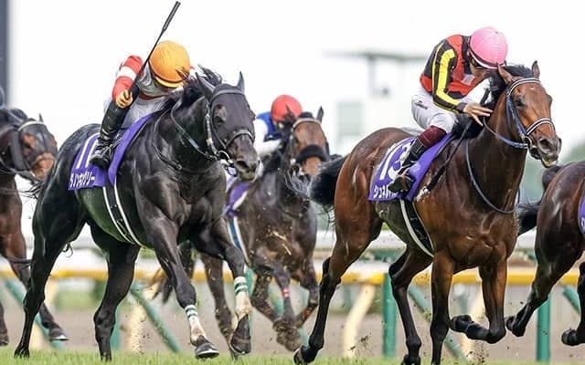 【毎日王冠想定】ダノンキングリー、シュネルマイスター、ヴァンドギャルドなど13頭