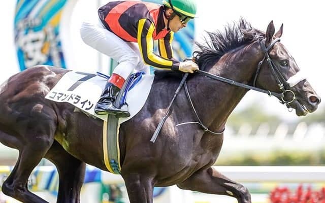 【サウジアラビアRC想定】新馬勝ちのコマンドライン、ウナギノボリなど8頭