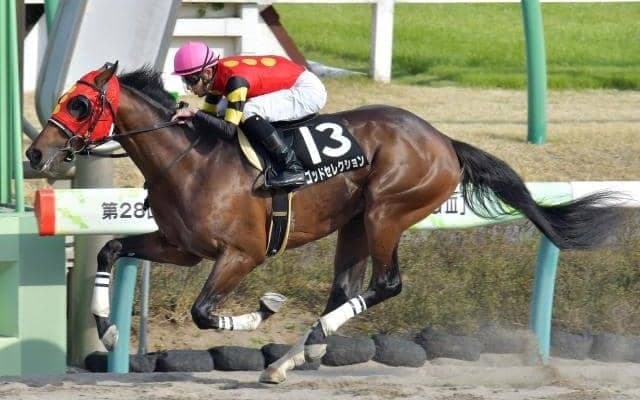 【本日の注目ポイント】中京でダート重賞・シリウスS、高額ドーブネの2戦目など