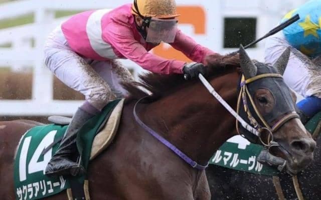 【シリウスS予想】秋一連のダートチャンピオンシップ競走へのステップレース