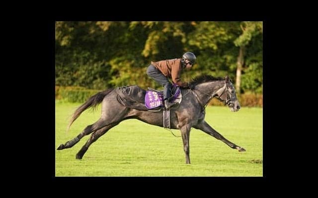 100回目の凱旋門賞で武豊か日本馬の初勝利なるか。相手は「チャンピオンクラスだらけ」の欧州馬たち