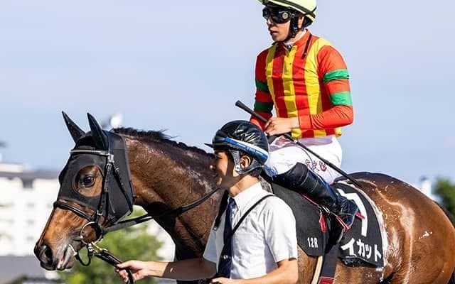 【仏・オペラ賞 枠順】日本馬イカットは8番ゲート、鞍上はO.マーフィー騎手