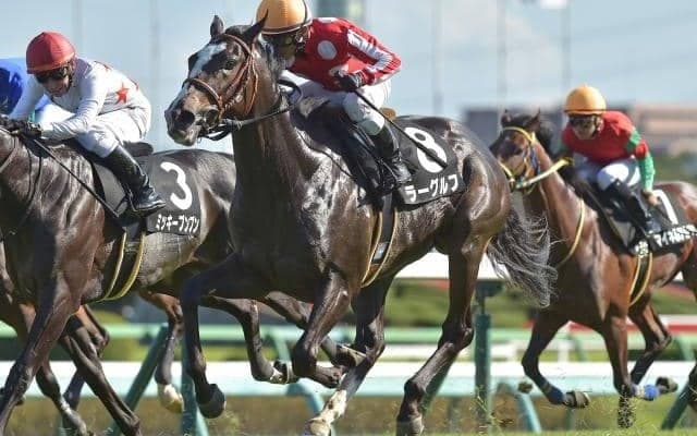 【芙蓉S結果】モーリス産駒ラーグルフがゴール前で差し切り連勝